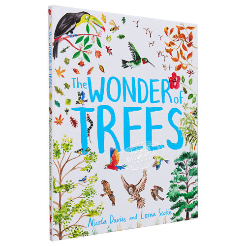 现货 The Wonder of Trees树木的奇观英文原版进口原版 9岁以上精装儿童科普图画书森林树�-图3