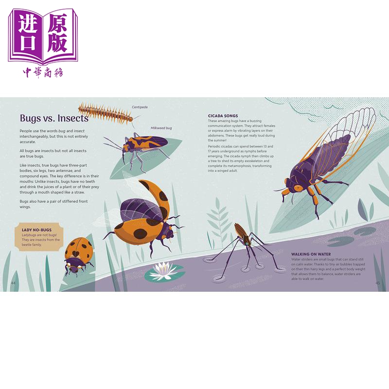 Amazing Insects Around the World 惊奇的各国昆虫 英文原版 进口图书 儿童科普绘本 动物百科知识图书 自然科学【中商原版? - 图0