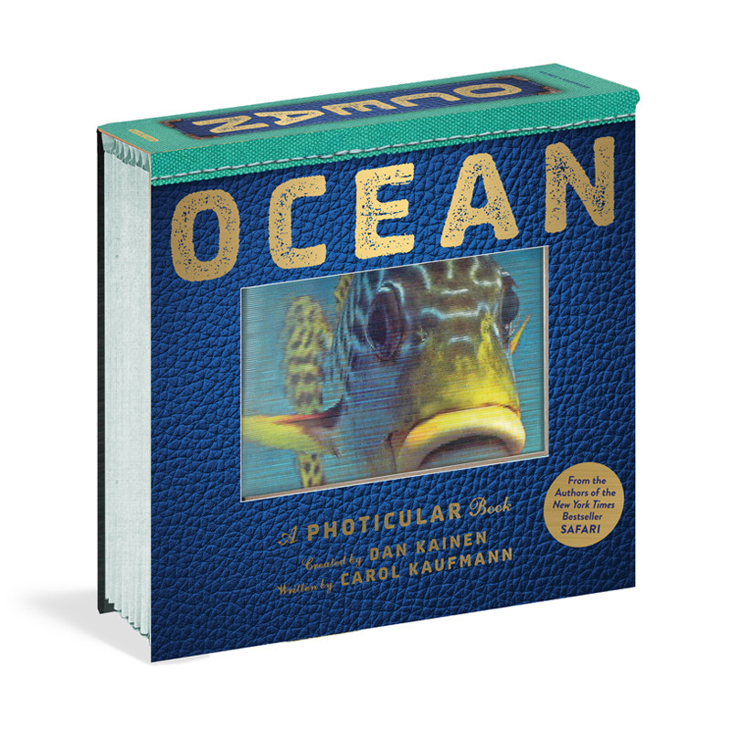 现货 【中商原版】光与影视觉书系列 会动的3D图片书 海洋 英文原版 Ocean: A Photicular Book 纽约时报畅销书