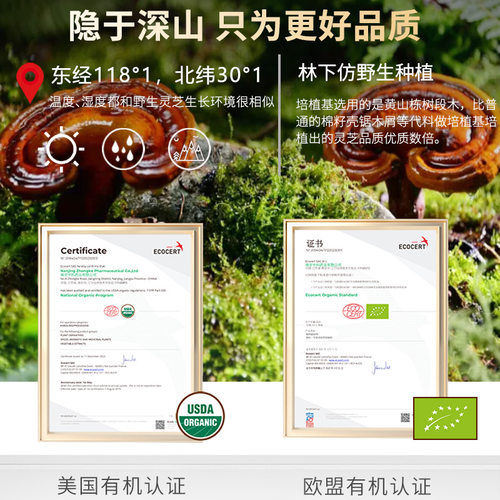 中科仿野生灵芝胶囊官方旗舰店正品增强调节免疫力礼物保健品礼品 - 图0