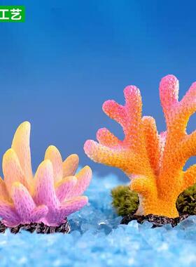 仿真微缩迷你珊瑚海星装饰摆件