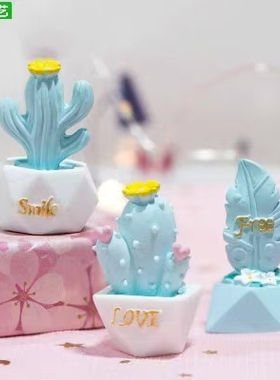 微景观创意少女心多肉仙人掌摆件