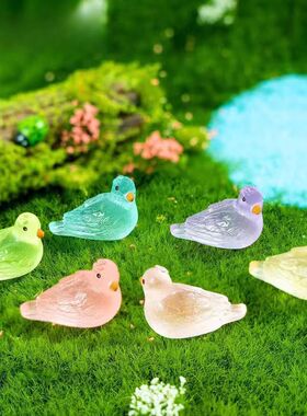 跨境新品苔藓微景观夜光小鸽子