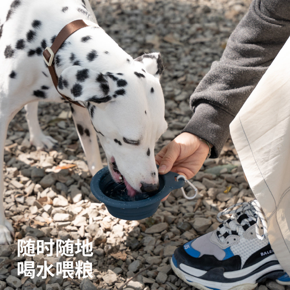 chichipaws狗狗外出折叠碗硅胶水杯狗盆便携宠物碗喝水遛狗碗,淘宝优惠券,粉丝福利购,淘宝优惠卷