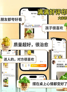 放礼物轻松蕉绿办公室工位小禁止治愈解压桌面情绪稳定器生日摆件