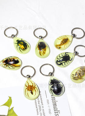 源头挂件高透明树脂内埋自然昆虫水滴形夜光钥匙扣实力