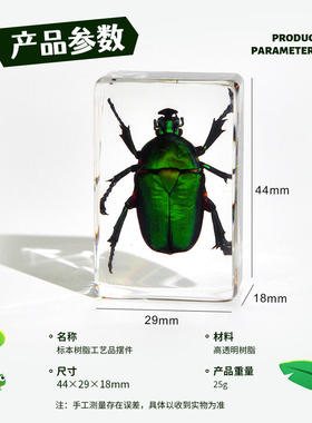 市集滴胶树脂海星海洋生物螃蟹科学海螺文创教具摆件品手工