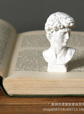 欧式风格雕塑摆件大卫素描用雕像迷你小树脂头像手办膏仿石7cm高