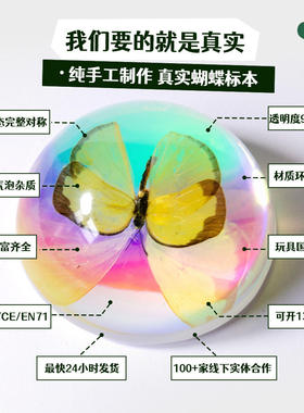 梦幻树脂滴胶半球蝴蝶真实炫彩品装饰用品桌面手工摆件新款