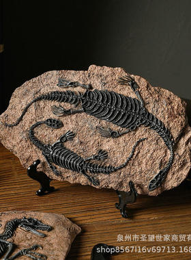 玄关创意恐龙化石橱窗装饰礼品书房家居客厅美式树脂道具摆件