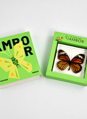 7#方书镇真蝴蝶昆虫礼品海洋滴胶文创树脂创意博物馆伴手礼