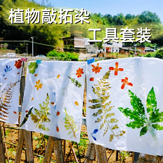 Paquet de matériel de teinture et de frottage végétal