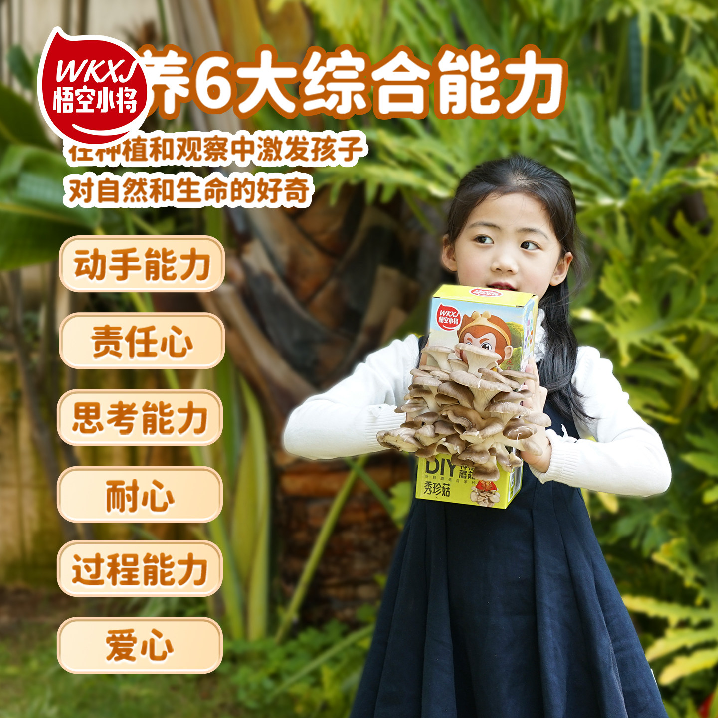 悟空小将蘑菇蘑菇种植包diy平菇菌包黄金种植儿童家庭盆栽菌棒,淘宝优惠券,粉丝福利购,淘宝优惠卷