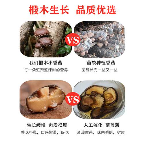 东北椴木小干香菇包邮散装非野生冬菇干货蘑菇营养菌茹花新货农家 - 图2
