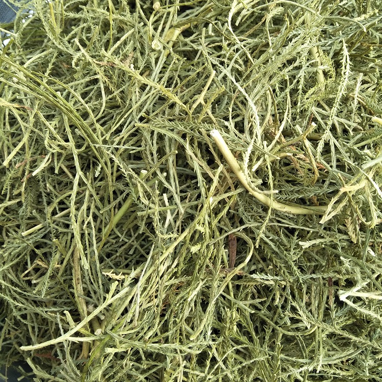 野舒筋草500g正宗大伸筋草干品中草药石松筋藤马尾非伸筋草-图3