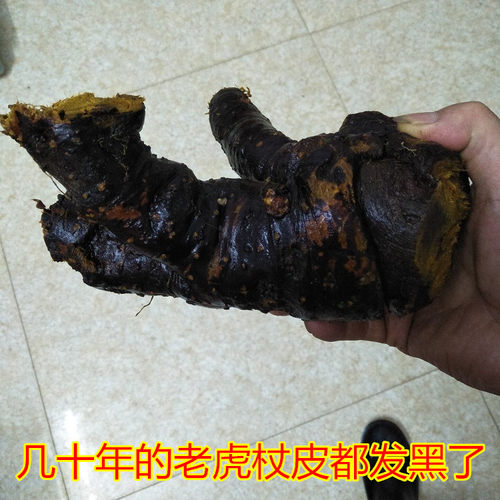 野生新鲜虎杖根500g中草药土大黄大接骨酸筒杆斑杖根黄地榆花斑竹 - 图2