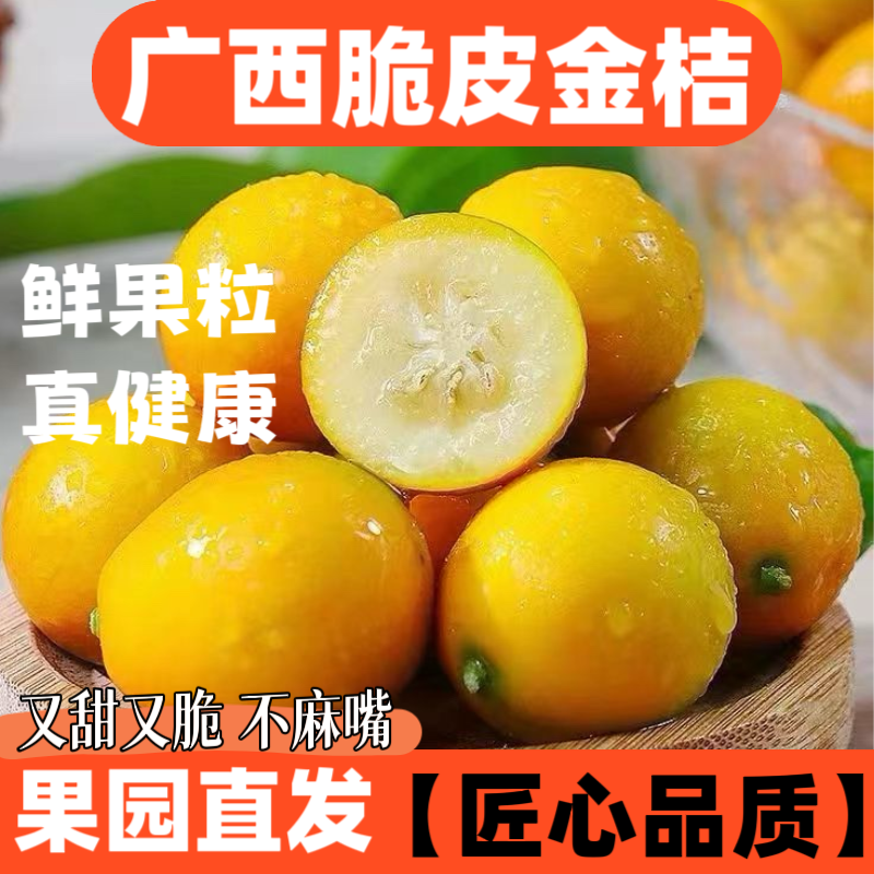 广西脆皮小金桔5斤新鲜桔子应当季水果纯甜蜜金柑孕妇整箱带皮吃 - 图1