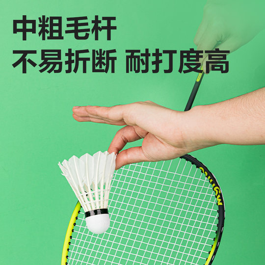 Angelite Deli F2202 Badminton-stabile, elastische, weiche, holzbeständige Gänsefedern, weiß, 12 Stück/Röhre