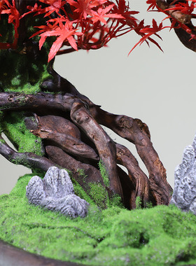 仿真红枫仿真绿植摆件玄关客厅