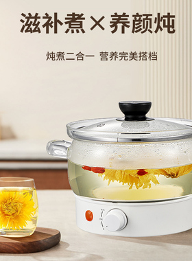多功能耐高温玻璃锅家庭玻璃电煮锅透明电饭煲家用一体透明电煮锅