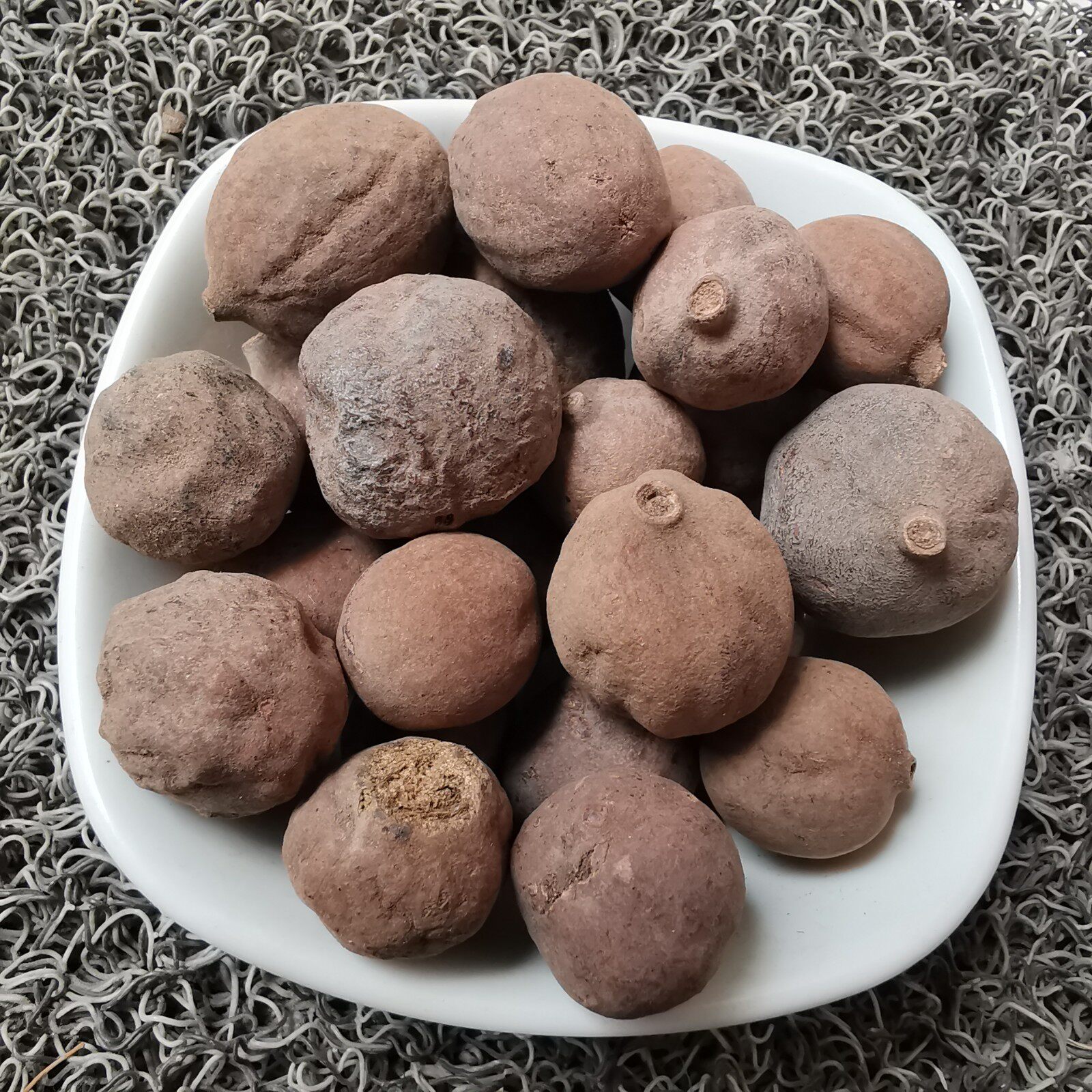 新货中药材毛诃子 毛柯子大金果 麻来 诃梨 诃黎 香柴 随风子500g