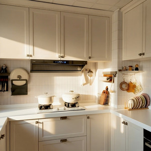 皮阿诺全屋定制厨房定做整体石英石台面灶台一体柜橱柜定制预付金