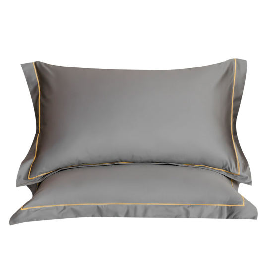 高端100支纯棉枕套一对装成人家用高档全棉枕头套枕芯套48cmx74cm