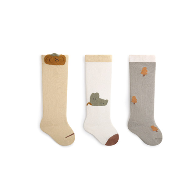 ໃນໄລຍະທີ່ຫົວເຂົ່າ socks ກາຕູນດູໃບໄມ້ລົ່ນງາມ