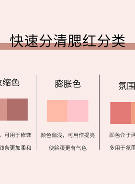 SKINMATCH/极密极密粉雾元气腮红修容高光腮红女