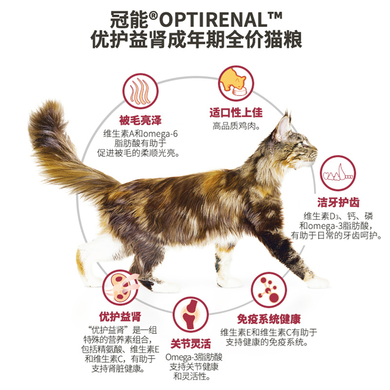 马甸老赵 冠能猫粮7kg成幼猫室内三文鱼全价通用美毛营养成猫主粮 - 图2