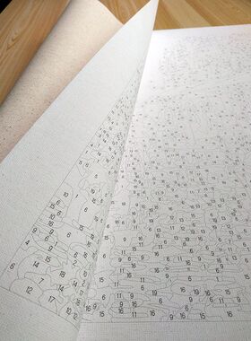 跨境一件代发DIY数字油画批发手绘彩画4050亚马逊wishFBA厂装饰画