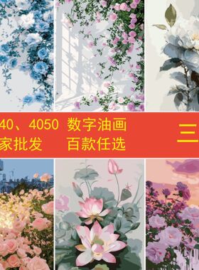 三霖全店热卖款diy数字油画批发跨境3040 4050卡通花卉填色