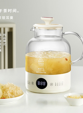 艾青春多功能一体养生壶  AI-YSH216（带滤网）