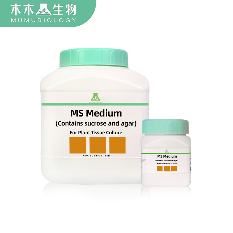 MS培养基1/2ms培养基wpm B5  N6培养基 植物组培营养液基础培养基 - 图3