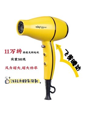 戴尔无刷电机V8大功率吹风机  家用理发店专用负离子小巧电吹风