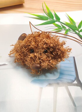 果壳小狗挂件豆荚手工娃娃diy可爱超萌车云南文创材料热卖