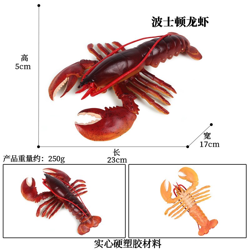 仿真螃蟹龙虾动物模型 大闸蟹大号龙虾道具 儿童动物早教玩具摆件