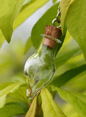 韩版饰品DIY水滴玻璃瓶吊坠种子许愿瓶罩水晶项饰蒲公英