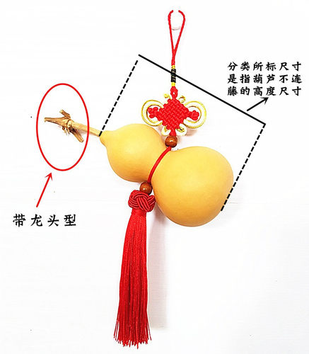 天然野生风水葫芦大中小号挂件平安吉祥道具宝葫芦摆件饰品挂饰 - 图2