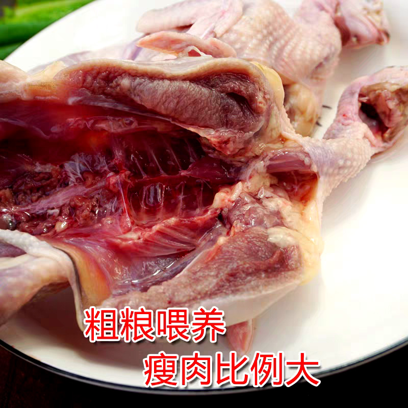 Free range quails are killed, eviscerated and bled.