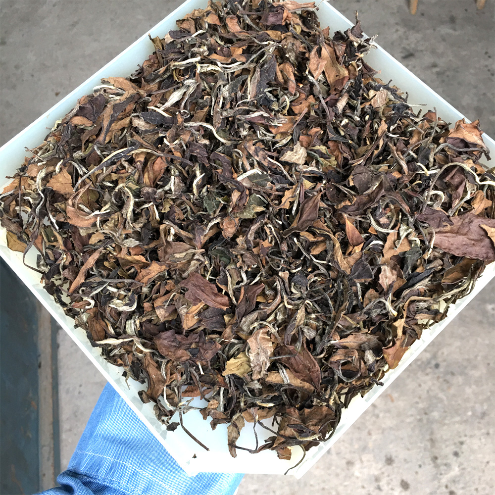 2013老白茶散茶福鼎白茶日晒陈年枣香贡眉寿眉白牡丹散装500g-图0