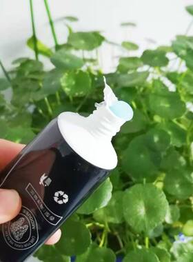 净护蜜都早晚双效亮白
