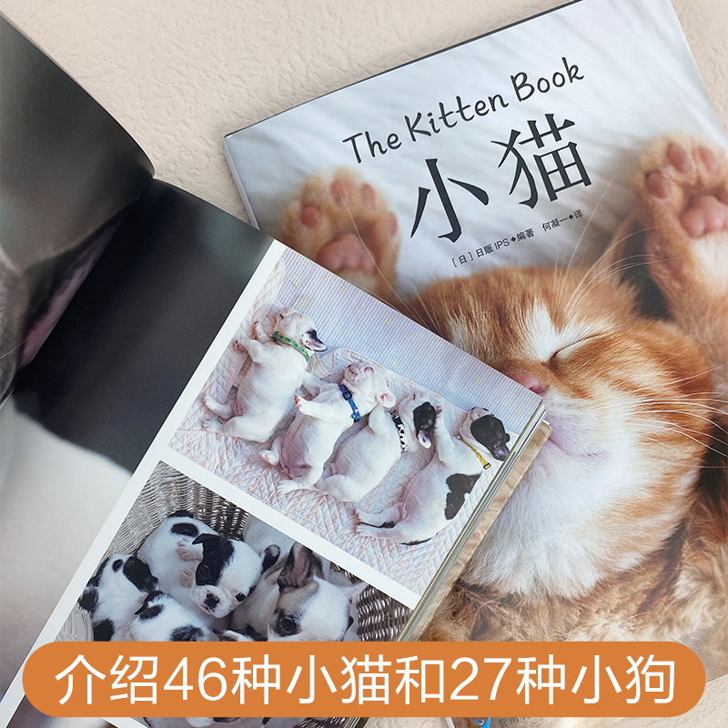 治愈系科普图鉴：小猫+小狗 动物图鉴猫咪猫图鉴宠物猫品种图鉴世界名猫猫科动物鉴赏书籍 热爱养狗的书籍 - 图1