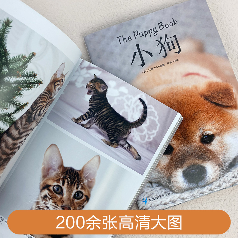 治愈系科普图鉴：小猫+小狗 动物图鉴猫咪猫图鉴宠物猫品种图鉴世界名猫猫科动物鉴赏书籍 热爱养狗的书籍 - 图3