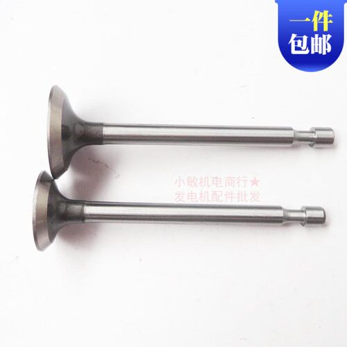 汽油发动机水泵配件EY20 RGX2400进排气门 平板夯抹光机167F 气门 - 图0