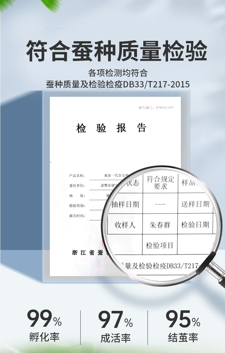 蚕宝宝宠物活体学生养蚕科普套装幼虫1234龄蚕卵彩丝七彩蚕鲜桑叶-图1