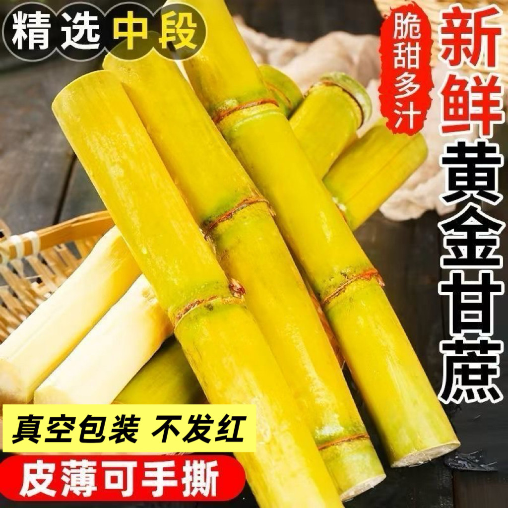 云南黄金甘蔗新鲜现砍黄皮手撕甘蔗儿童孕妇水果真空包装产地直发,淘宝优惠券,粉丝福利购,淘宝优惠卷