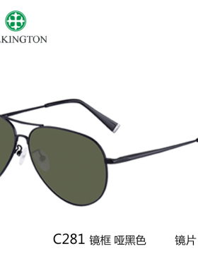 墨镜玻璃偏光男士太阳镜