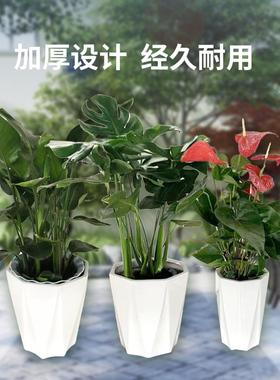 陶瓷广东中式欧式通用花盆简约