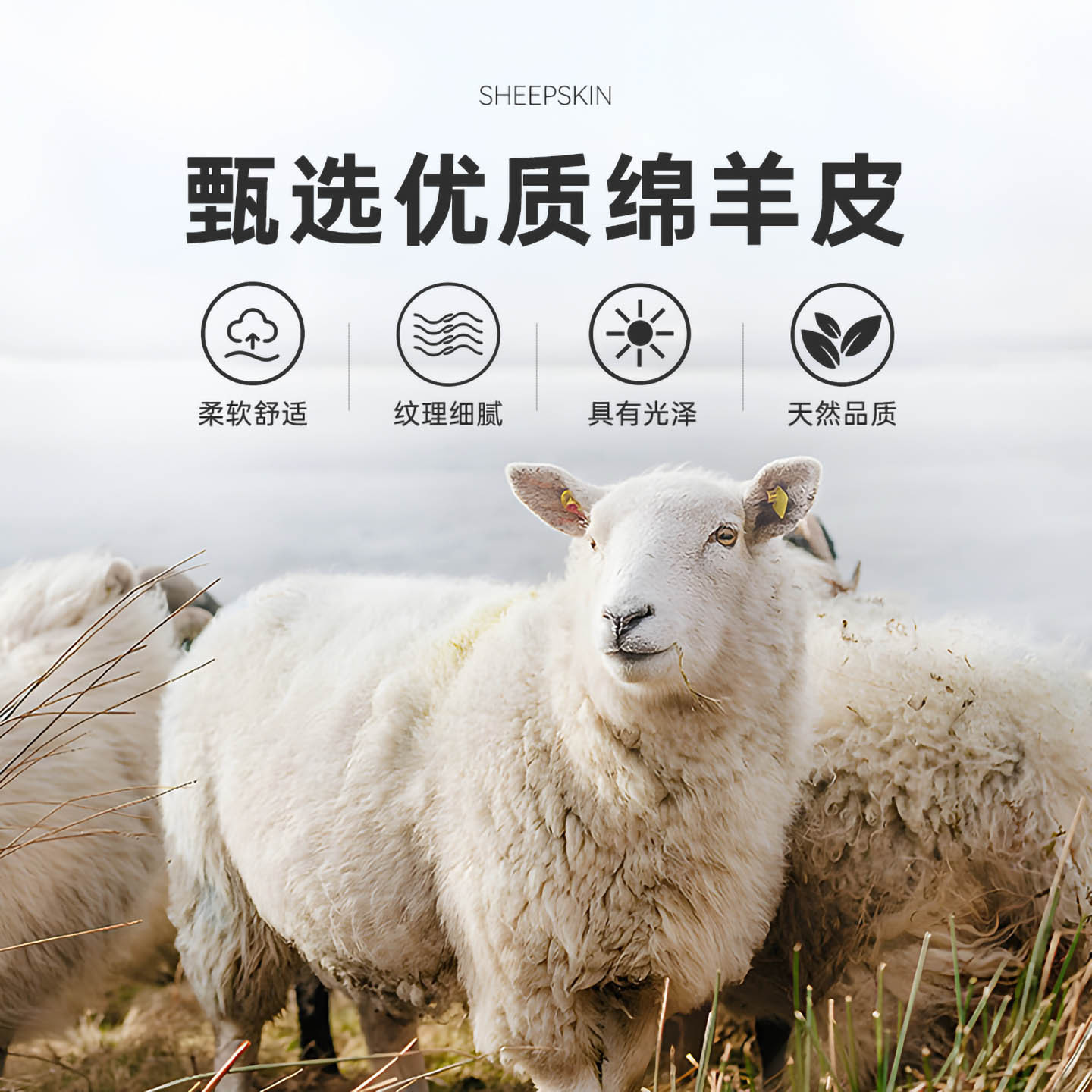 【水貂毛领绵羊皮】RaidyBoer/雷迪波尔2025冬男刺绣羽绒皮衣2032,淘宝优惠券,粉丝福利购,淘宝优惠卷